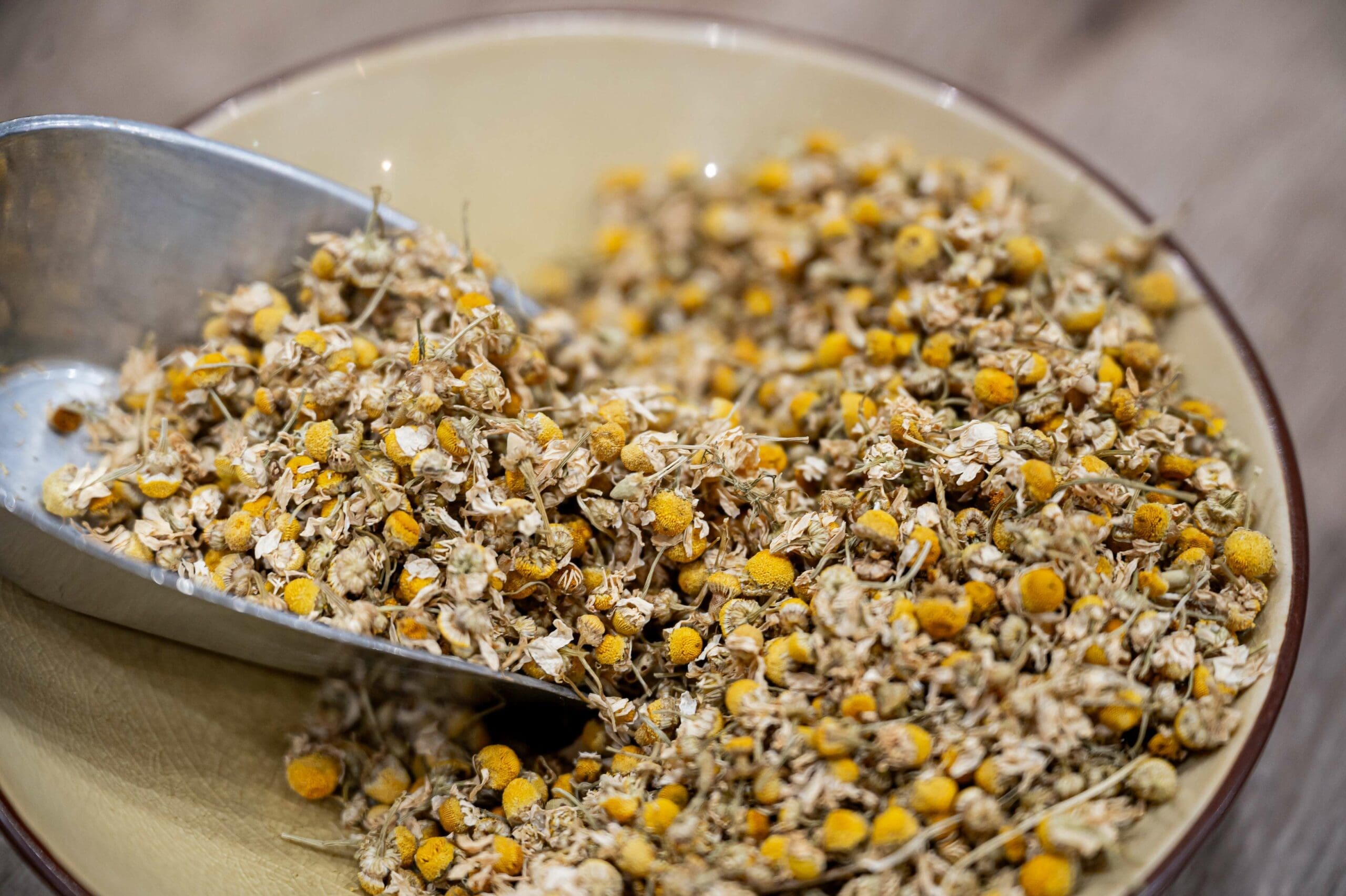 au-jardin-des-thes-infusions-tisanes-milles-vertus (76)