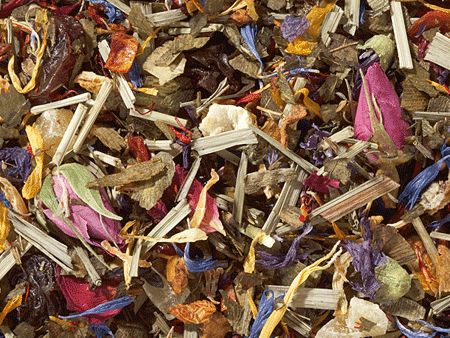 une pure expérience de la nature