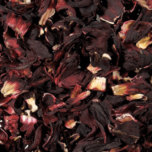 Appréciée pour ses fleurs monochromes ou bicolores, cette plante est aussi source de nombreux bienfaits pour la santé.