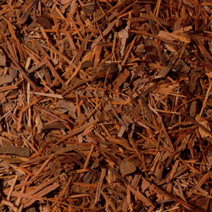 Son écorce est utilisée depuis des siècles à des fins thérapeutiques et notamment pour ses qualités antibactériennes, antivirales et antifongiques.